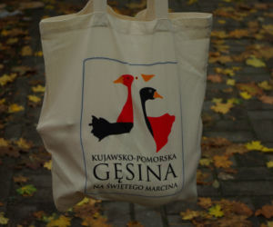 Gęsie tuszki polecą na stoły mieszkańców kujawsko-pomorskiego. Jak zgarnąć ją od Radia ESKA? [KONKURS]