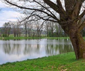 Centrum Paderewskiego w Kąśnej Dolnej