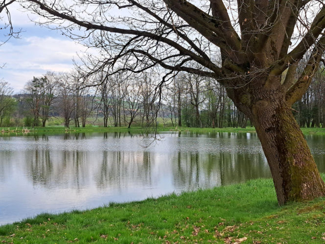 Centrum Paderewskiego w Kąśnej Dolnej