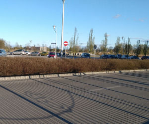 Niedzielna msza podczas kwarantanny w kościele zbudowanym przed Tadeusza Rydzyka