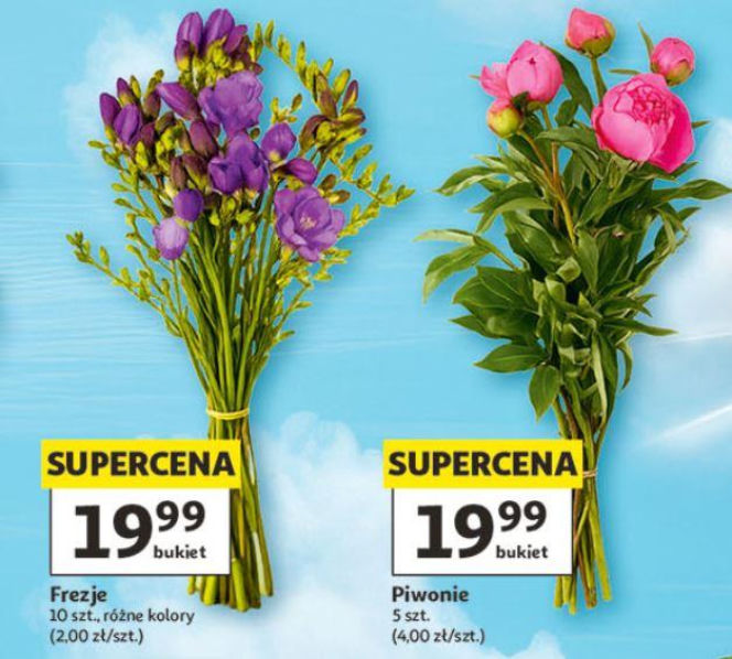 kwiaty na Dzień Mamy w Auchan