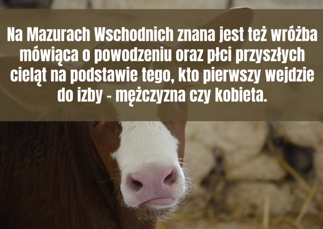 Wielkanocne przesądy na Warmii i Mazurach. Zobacz najciekawsze
