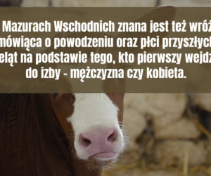 Wielkanocne przesądy na Warmii i Mazurach. Zobacz najciekawsze