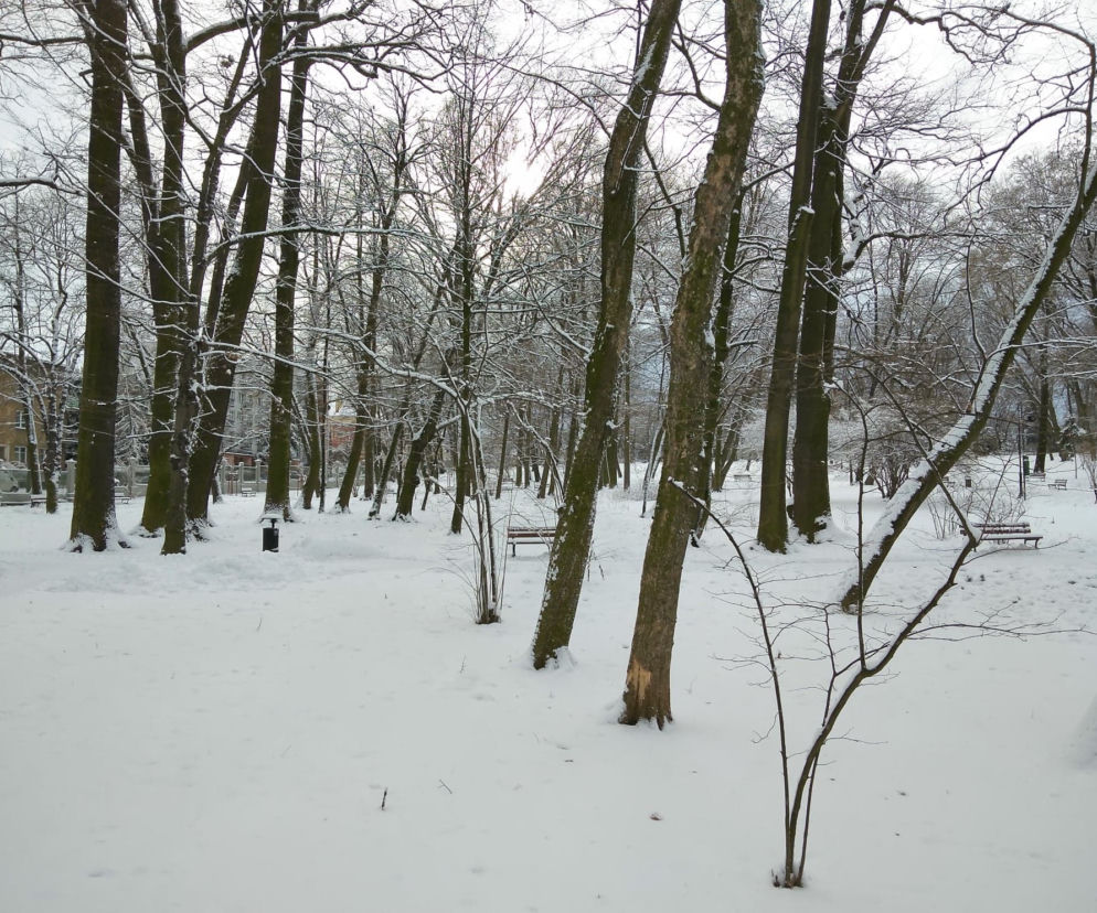 Śnieg zasypał Tarnów, teraz czas na mróz. Będzie PRZEŹLIWIE zimno
