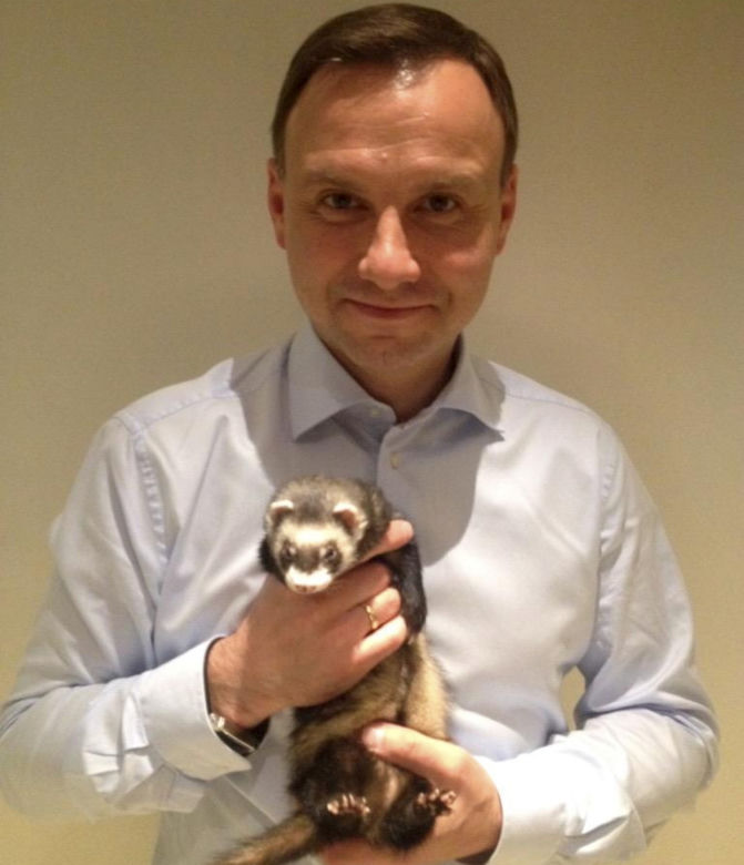 Andrzej Duda z fretką