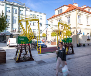 Dźwigozaury dotarły do Rzeszowa! Tymczasowa atrakcja stanęła na 3 Maja