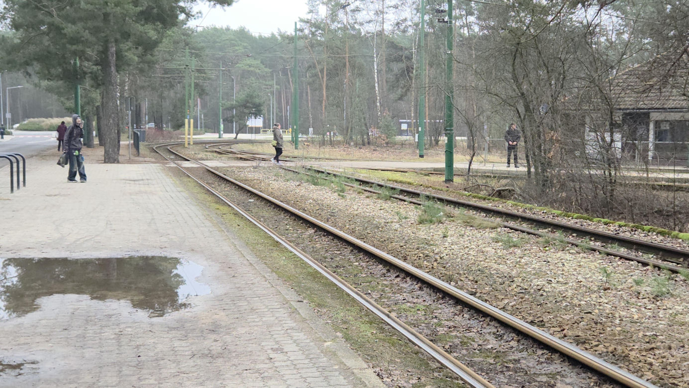 Przebudowa pętli Las Gdański ruszy w 2026 roku. Wycięto ponad 330 drzew!