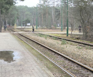 Przebudowa pętli Las Gdański ruszy w 2026 roku. Wycięto ponad 330 drzew!