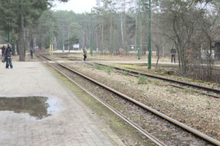 Przebudowa pętli Las Gdański ruszy w 2026 roku. Wycięto ponad 330 drzew!