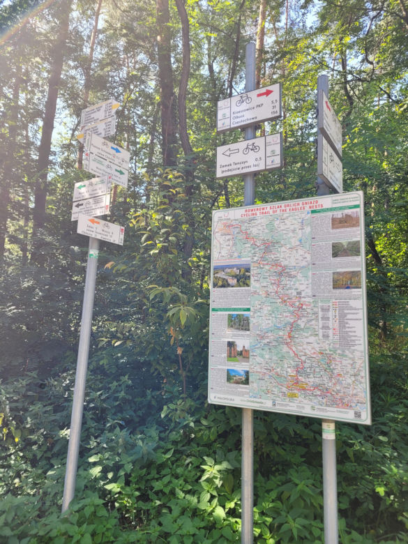 Prastara Puszcza Dulowska w Małopolsce. Spotkasz tam nawet łosie! 