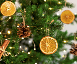 Zagotuj w garnuszku i spryskaj tym choinkę. W całym domu będzie pachniało świętami od rana do nocy! Zapach do domu, który zrobi różnicę 