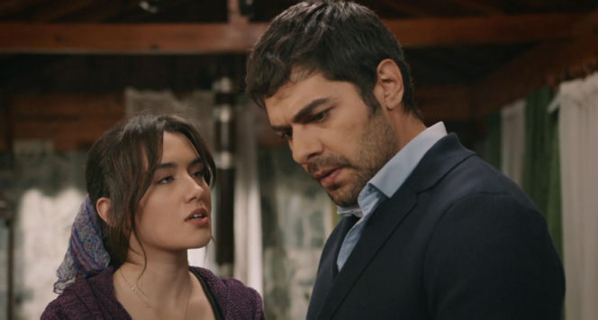 Wichrowe wzgórze odc. 354. Zeynep, Halil