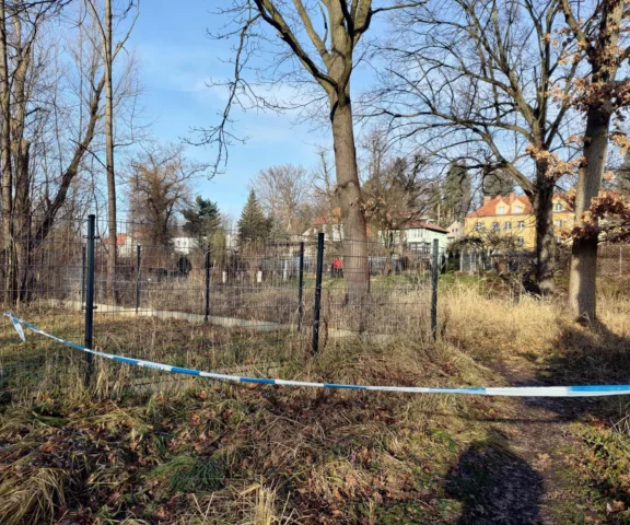 Ekspertka o zabójstwie 11-latki w Jeleniej Górze. To wyjątkowo rzadka sytuacja