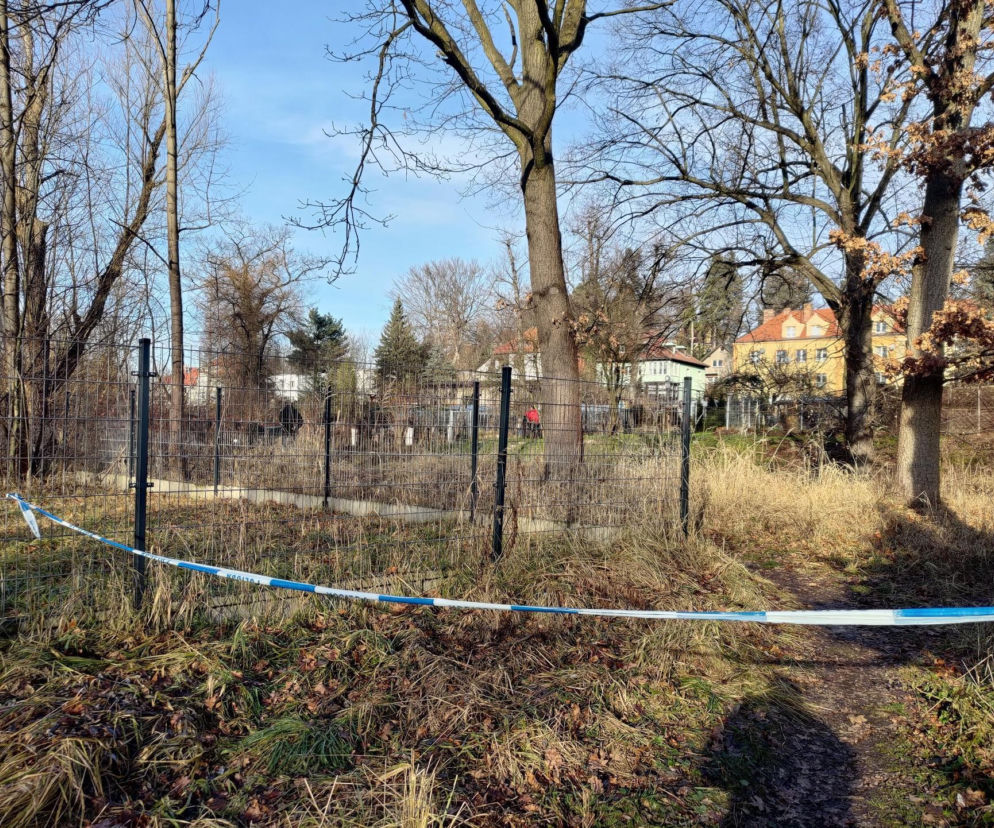 Ekspertka o zabójstwie 11-latki w Jeleniej Górze. To wyjątkowo rzadka sytuacja