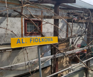 Ogródki działkowe w Nowym Sączu