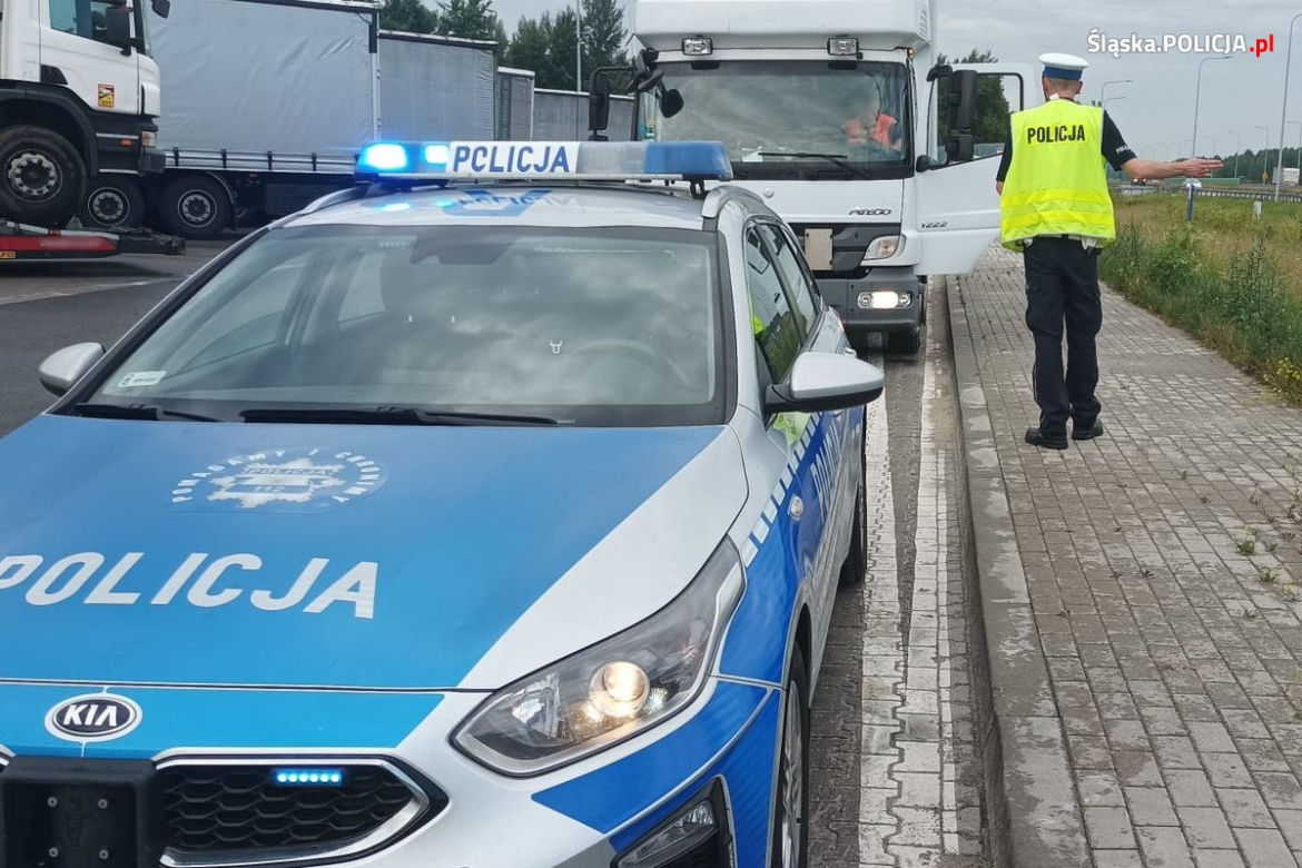 Policjanci z woj. śląskiego prowadzą działania przeciwko „wyścigom słoni”