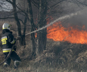 Pożar w Biebrzańskim Parku Narodowym