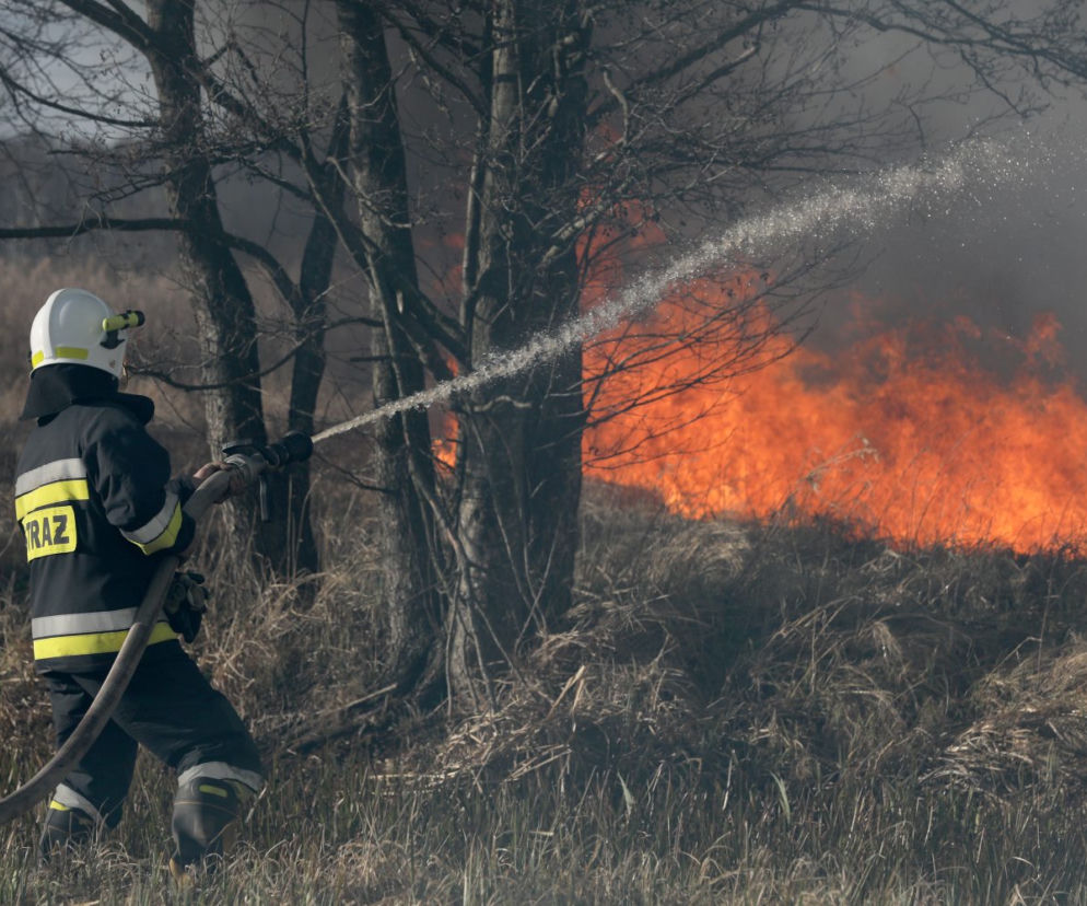 Pożar w Biebrzańskim Parku Narodowym