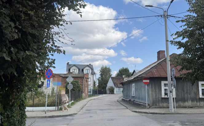 Horror w Lubartowie. Dlaczego Maksymilian rzucił się na swoją prababcię?