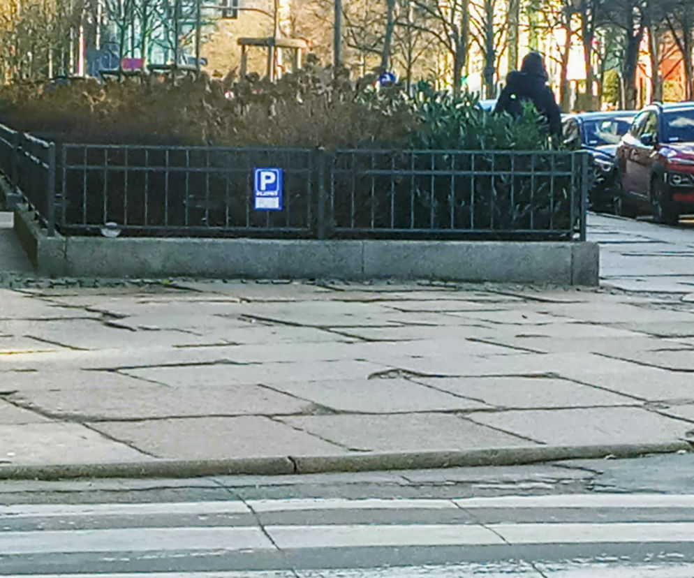 Sposób na mistrzów parkowania