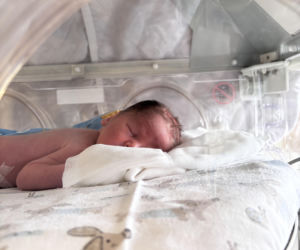 W WSS Olsztyn przyszły na świat trojaczki