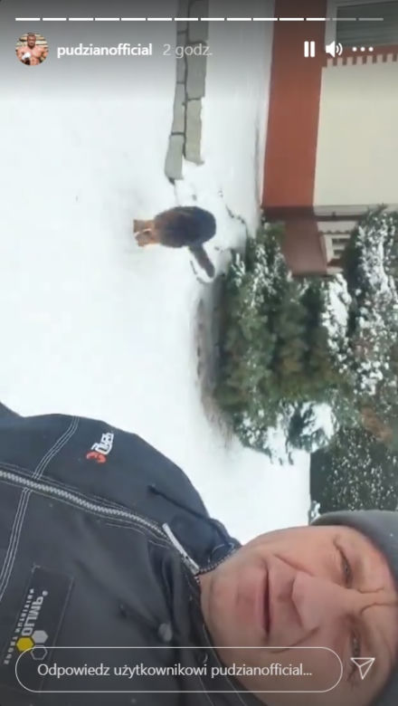 Mariusz Pudzianowski i jego psy