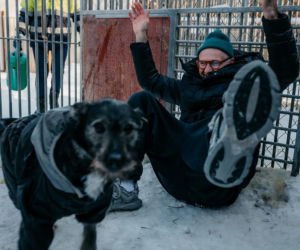 Radio ESKA z pomocą dla zwierząt! Nasza ekipa wsparła schronisko Celestyniaki
