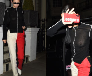 Kendall Jenner bez stanika