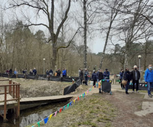 Drzewka i rekreacja na Barbarce