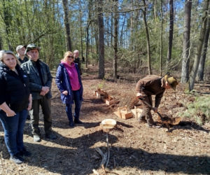 W Lesie Sekulskim rośnie już kilkaset nowych, młodych buków! Drzewa zasadzili członkowie siedleckiego samorządu i leśnicy