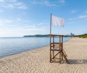 Sinice Gdynia. Czy w Gdyni można się kąpać 24.07? Flaga, warunki pogodowe