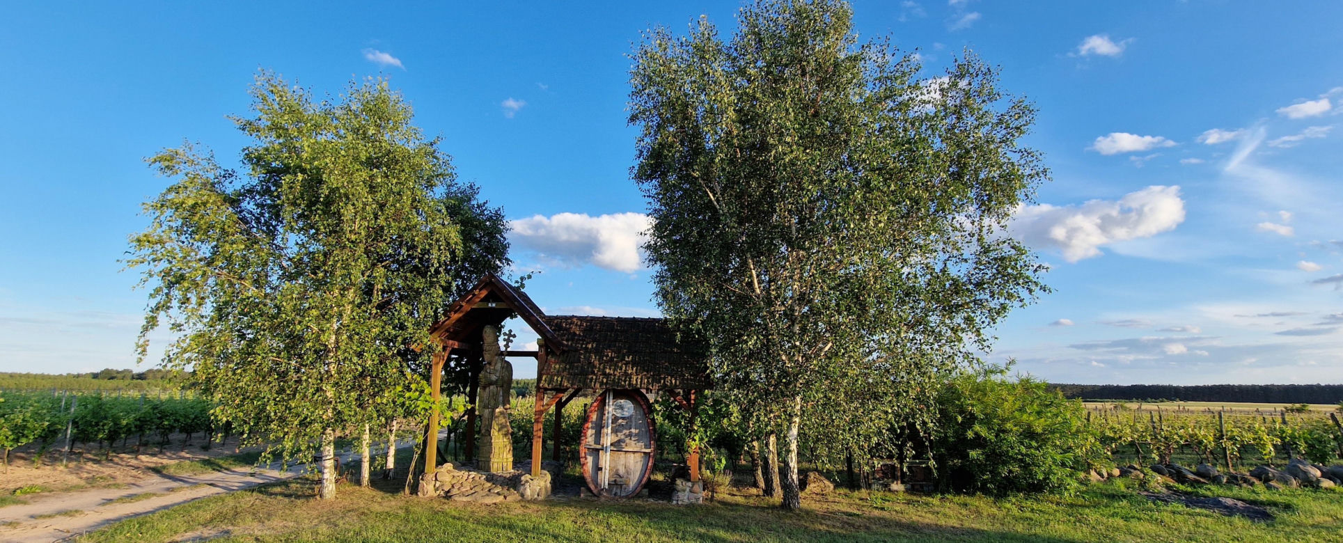 Winnica Cantina, Mozów koło Sulechowa