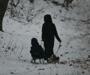 Marta Kaczyńska z synem i psami na sankach w lesie