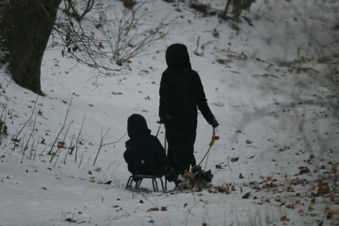 Marta Kaczyńska z synem i psami na sankach w lesie