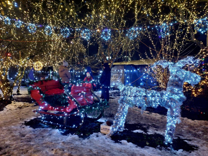 Dom bydgoskich Griswoldów znów rozbłysł. "Powieśiliśmy 300 tysięcy lampek. Przygotowywaliśmy jej od lipca!"