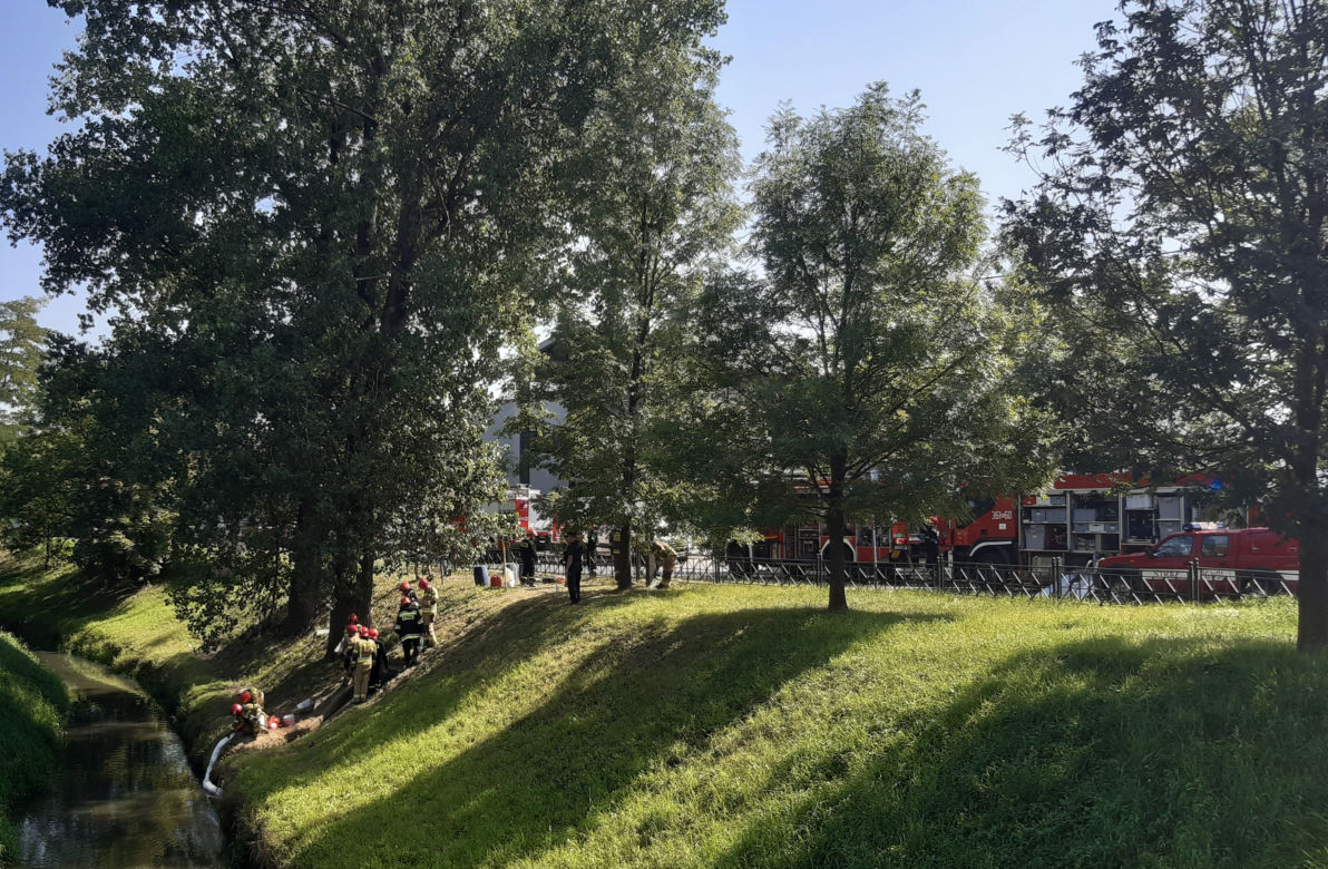 Interwencja strażaków na Nadbrzeżnej 
