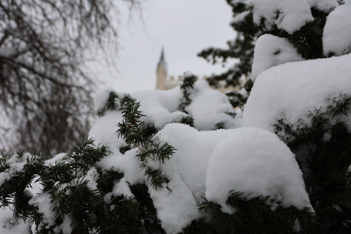 Śnieżyca w Lublinie