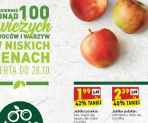 Biedronka ostatni tydzień 10 2020