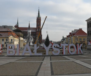 Choinka stanęła pod ratuszem. Niedługo rozbłysną tu świąteczne iluminacje [ZDJĘCIA]