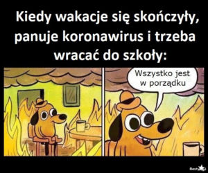 Memy o szkole 2020. Nauka u dobie koronawirusa. Żarty z nowej sytuacji 
