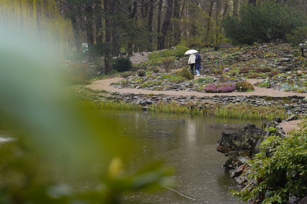Arboretum w Wojsławicach otwarte po zimowej przerwie