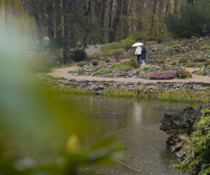 Arboretum w Wojsławicach otwarte po zimowej przerwie