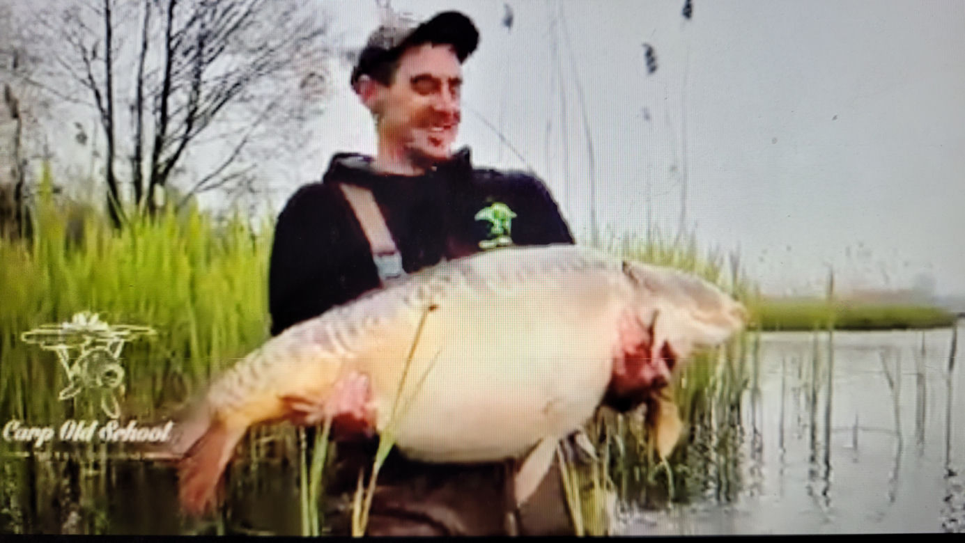 Karp GIGANT 31 kg
