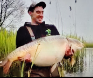 Karp GIGANT 31 kg