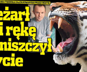 Zeżarł mi rękę i zniszczył życie