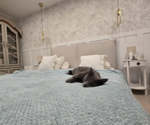 Metamorfoza domu w Zabrzu - bliźniaczki Weronika i Patrycja