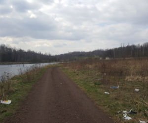 Co dalej z rozlewiskiem Potoku Bielszowickiego w Bykowinie? Mieszkańcy narzekają na zapachy