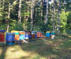 52. Rajd Miłośników Roztocza
