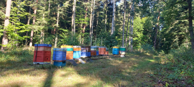 52. Rajd Miłośników Roztocza