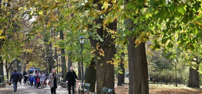 Astronomiczna jesień 2017: kiedy pierwszy dzień jesieni i koniec lata? 